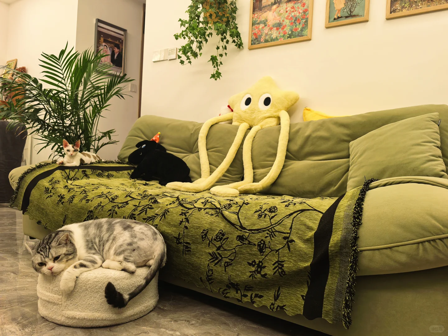 pdd 软装抠搜指南