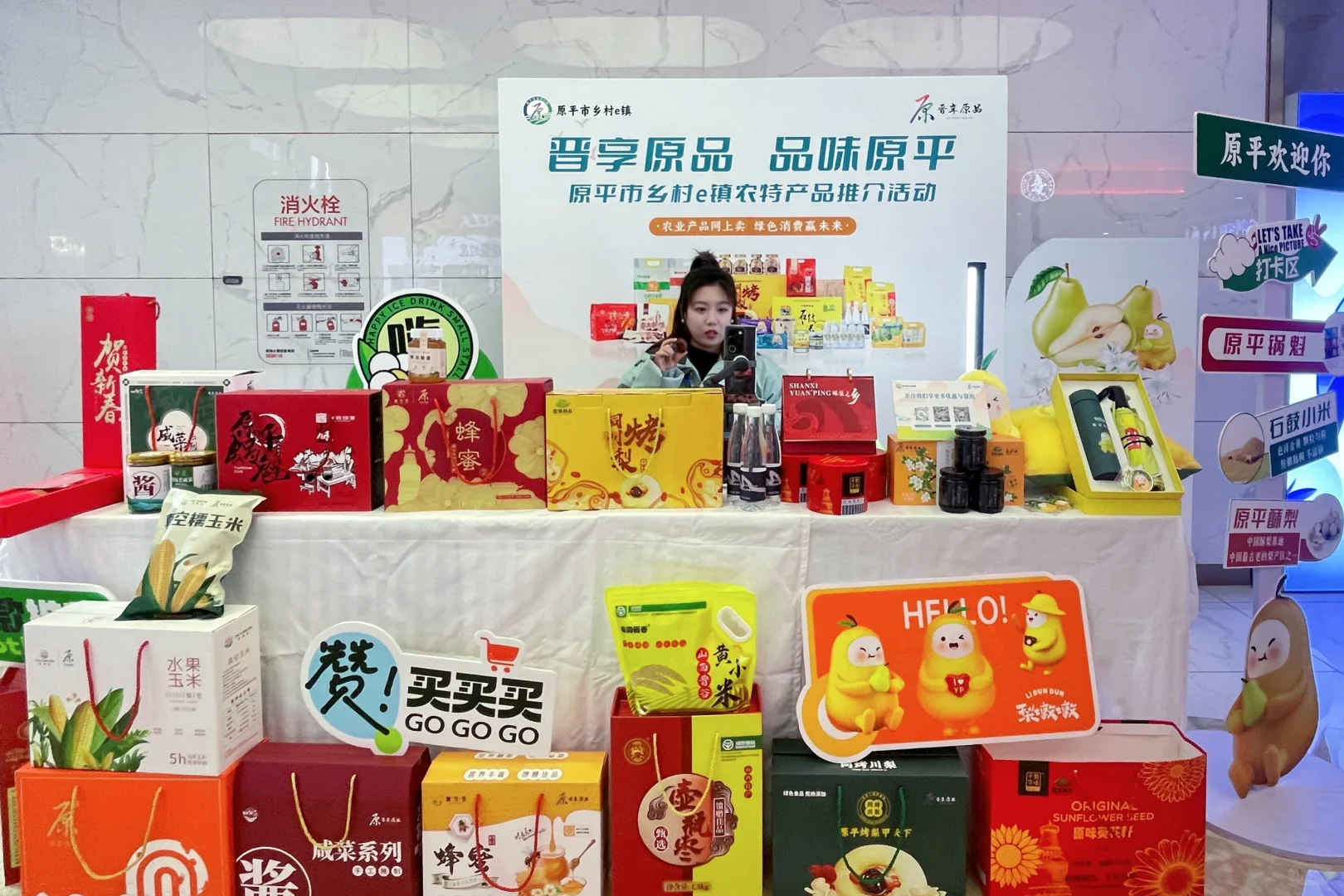原平市乡村e镇农特产品展销活动