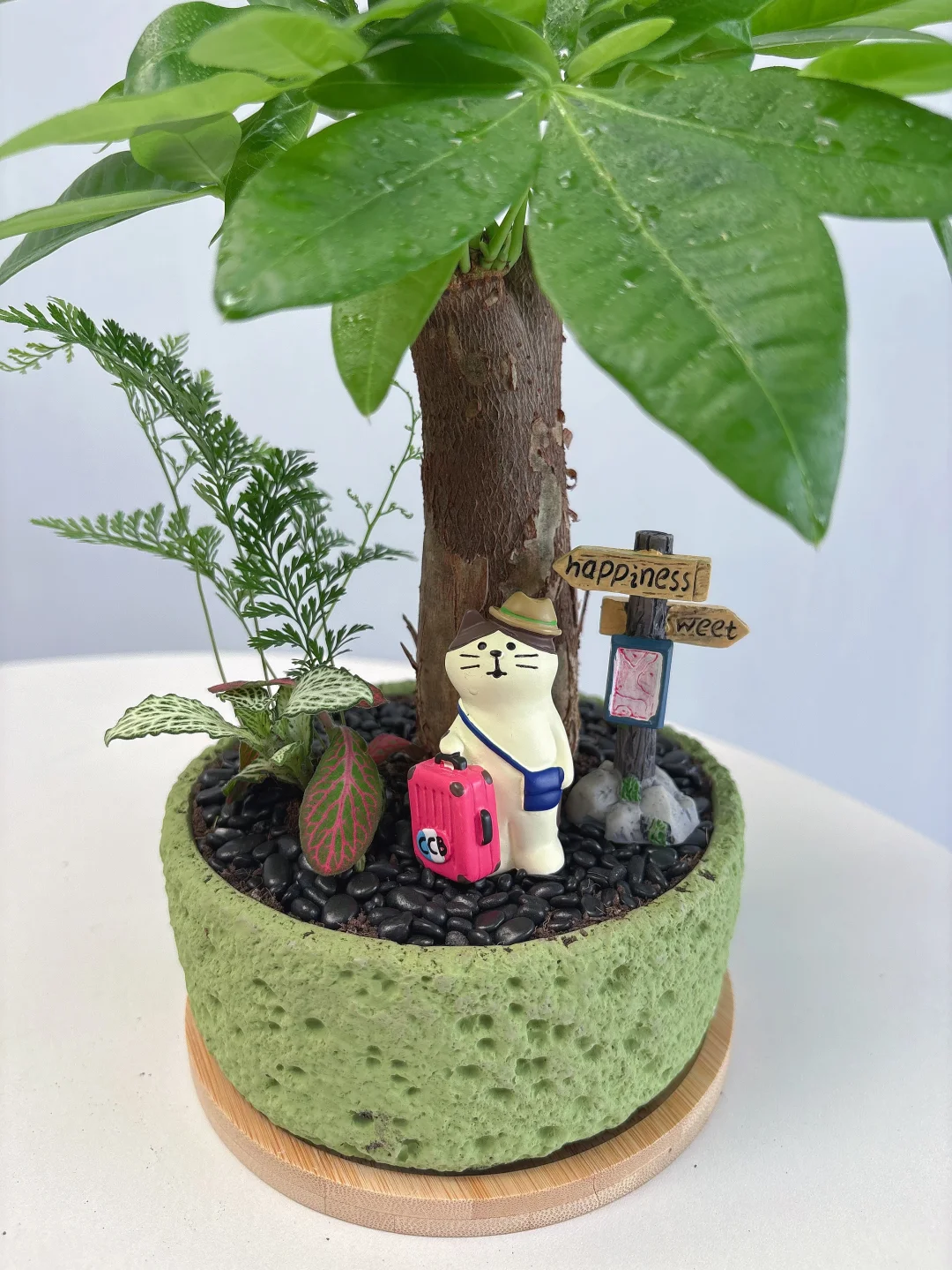 因为这个工位绿植?我不想下班了