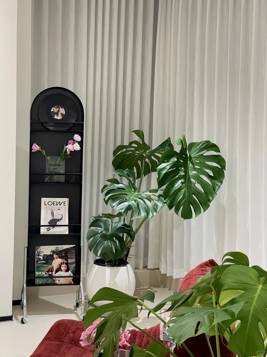 被家里这个角落美到✨