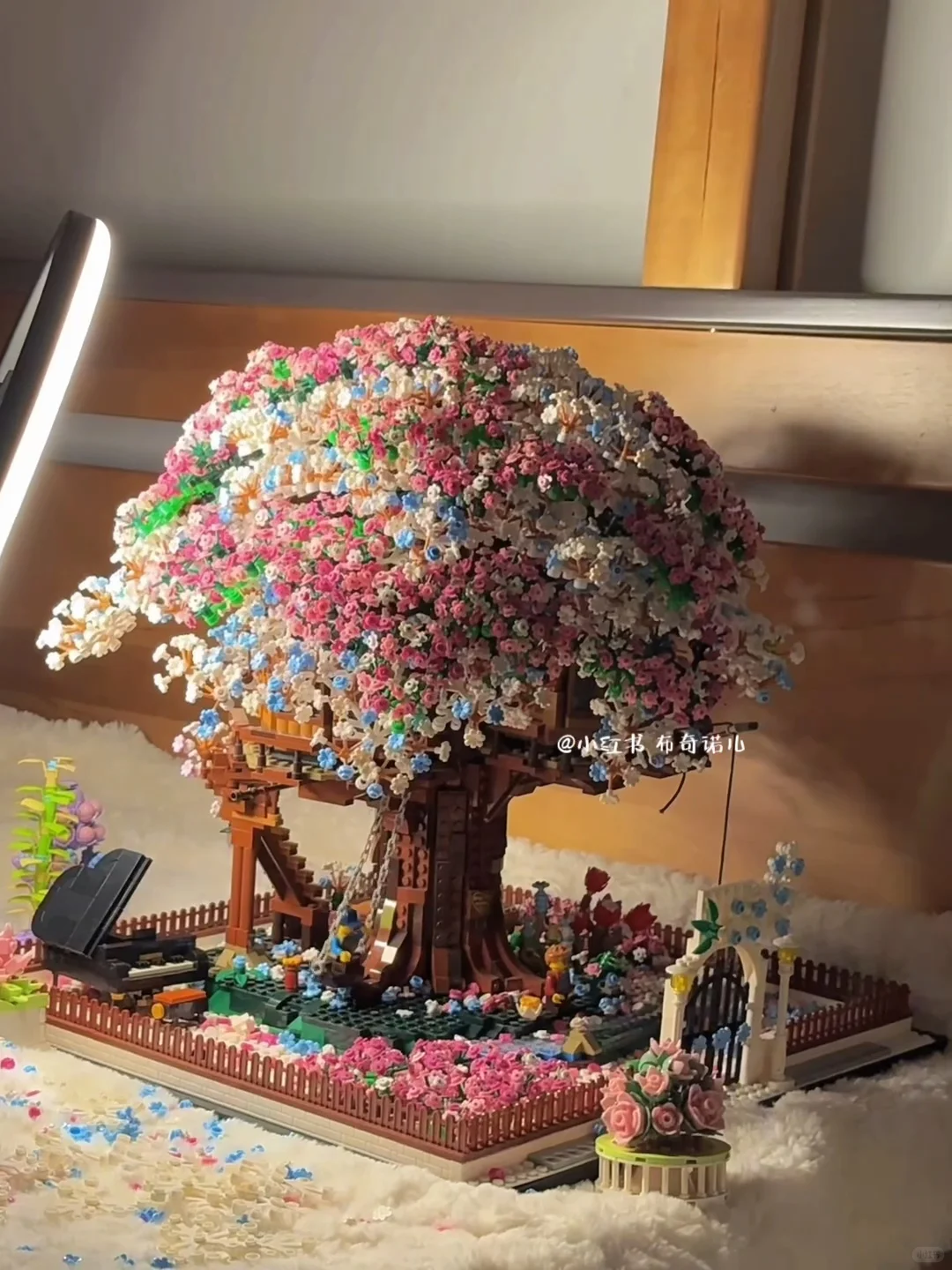 路边搬了一颗樱花树回家??