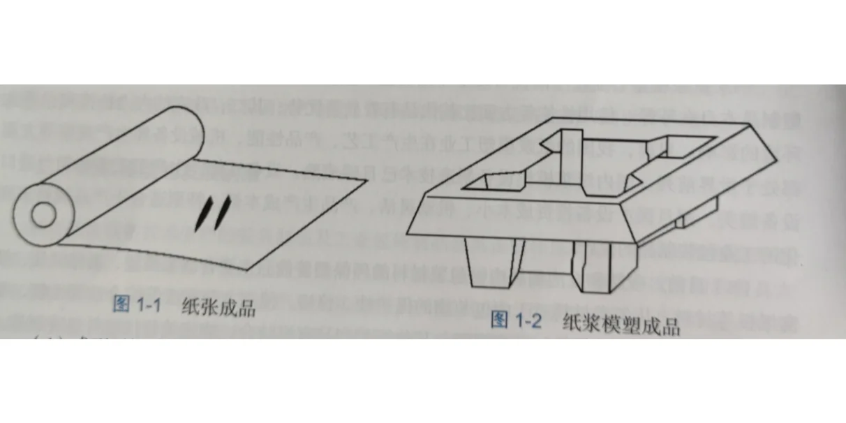 【解密】纸浆模塑与造纸的异同，你知道吗1
