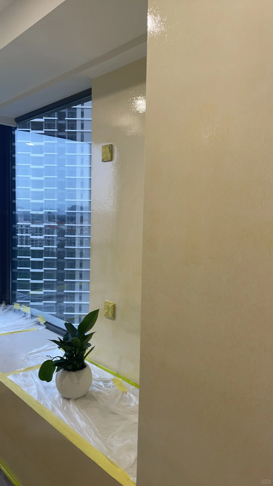 这可能是最防潮最防霉的墙面了