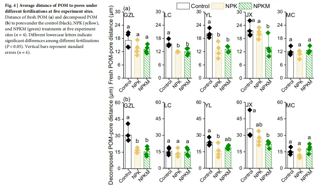 土壤孔隙如何扮演碳“加速器”与“稳定器”