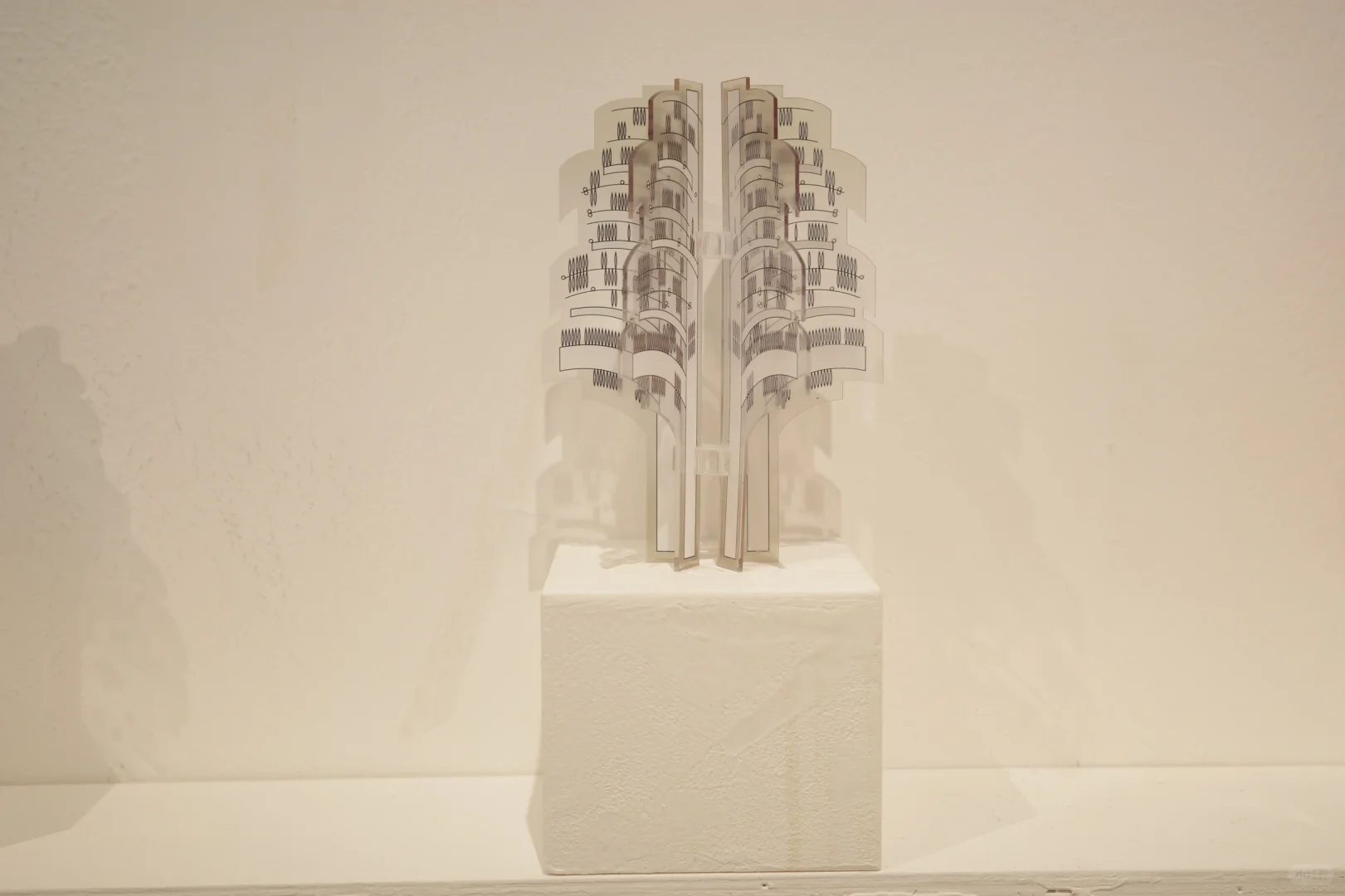 川美毕设展出-自然之息