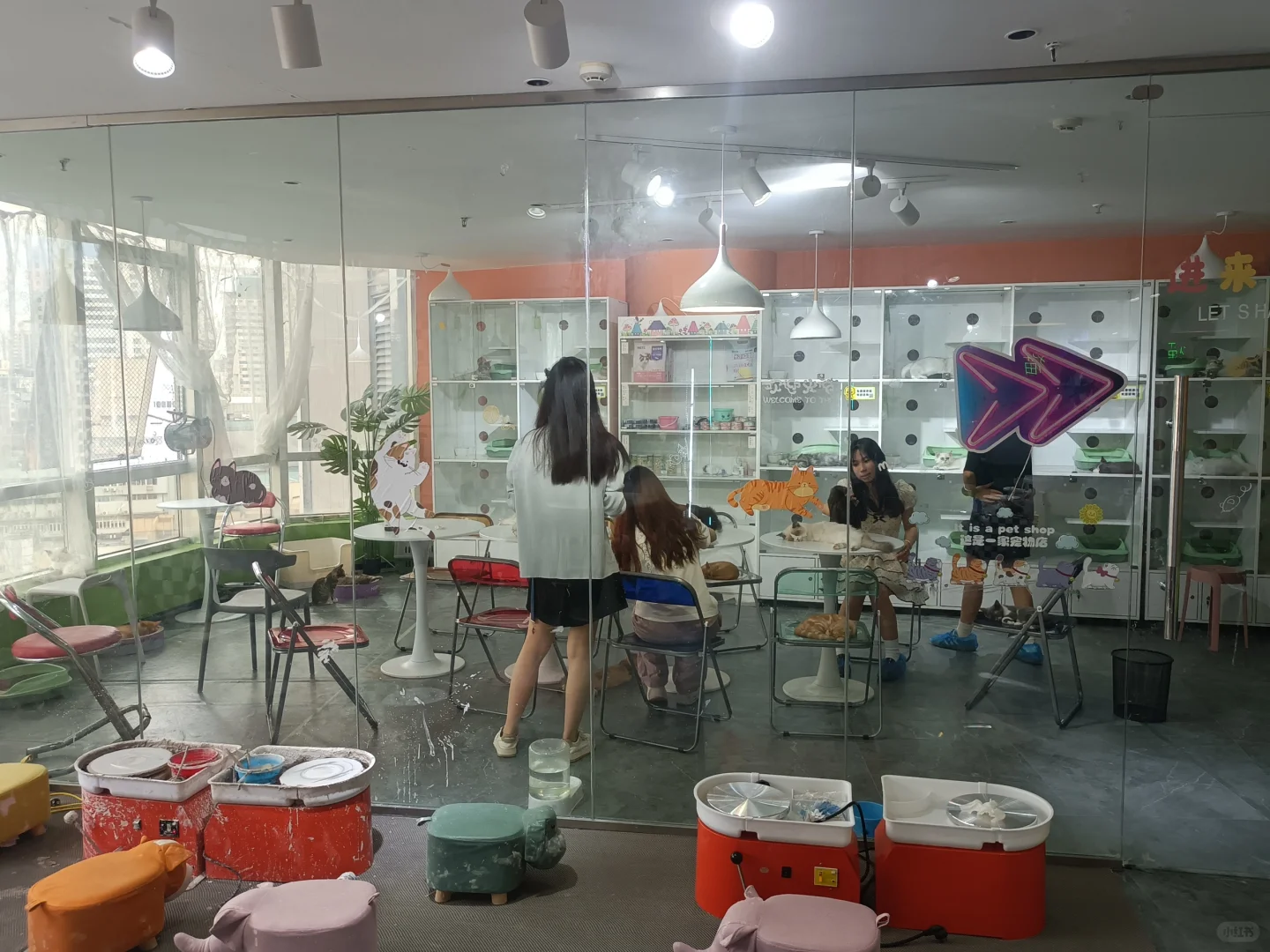 南京超值超便宜陶艺店!可撸猫撸小猪