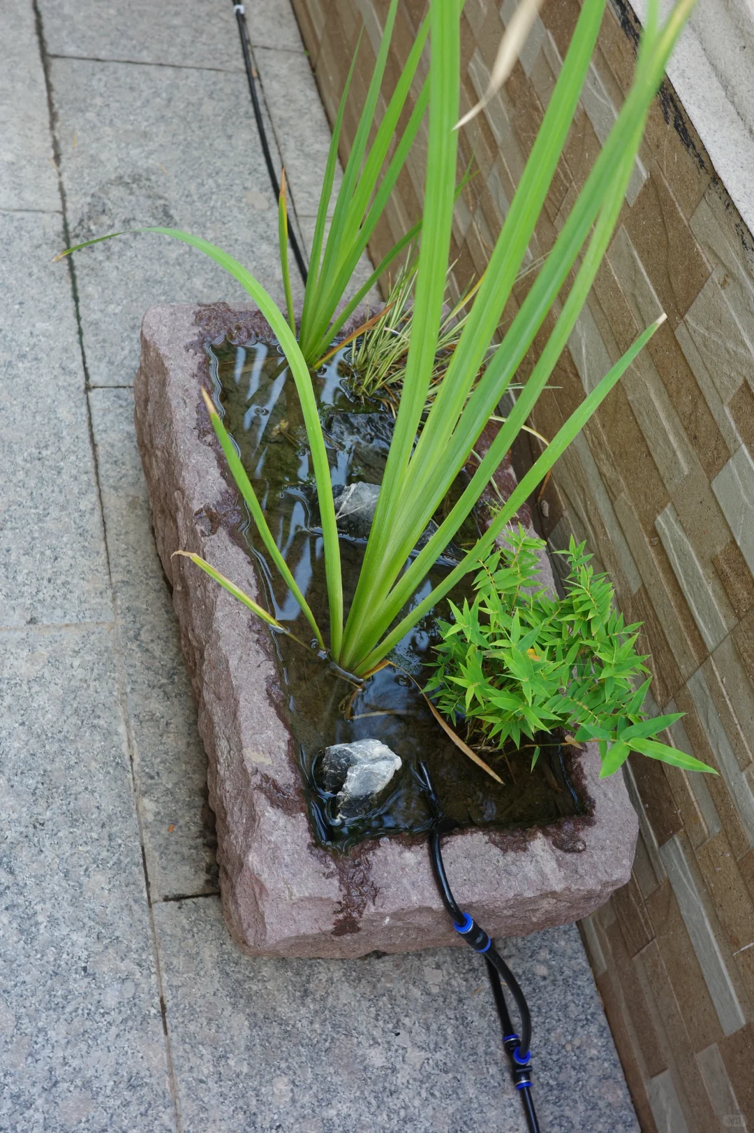 智能浇花，远程无忧，解放你的园艺生活