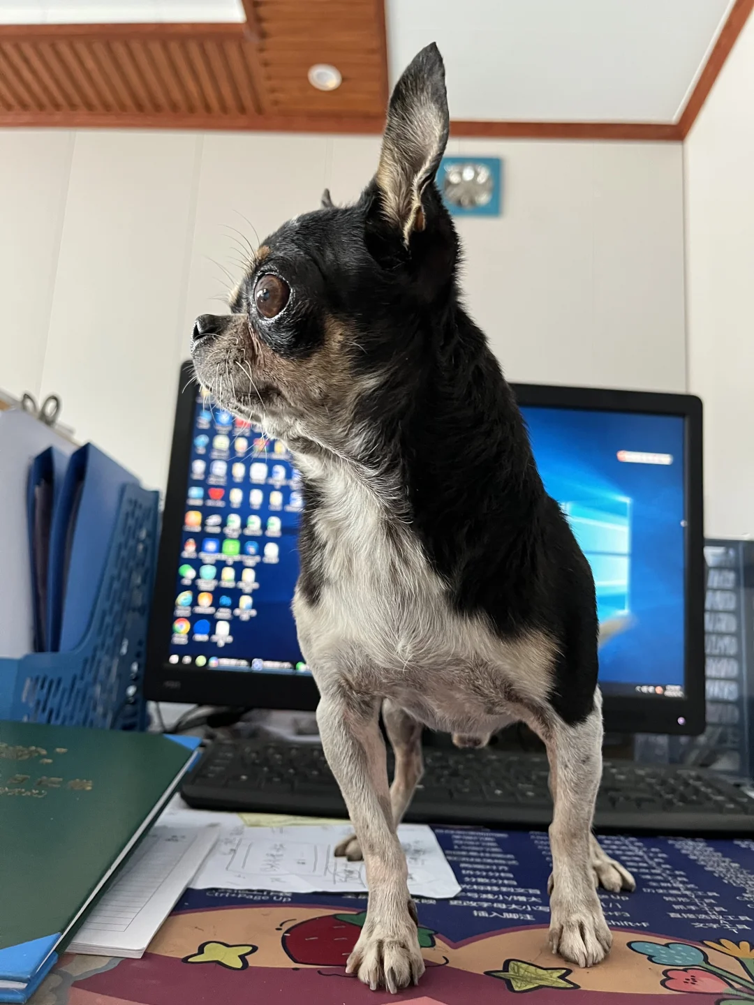 一看就会的工业污水处理设备！