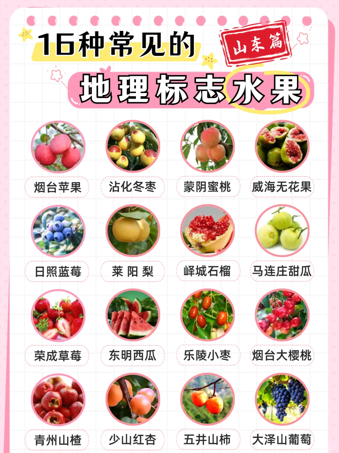 这些好吃的地理标志水果你都吃过吗|山东篇