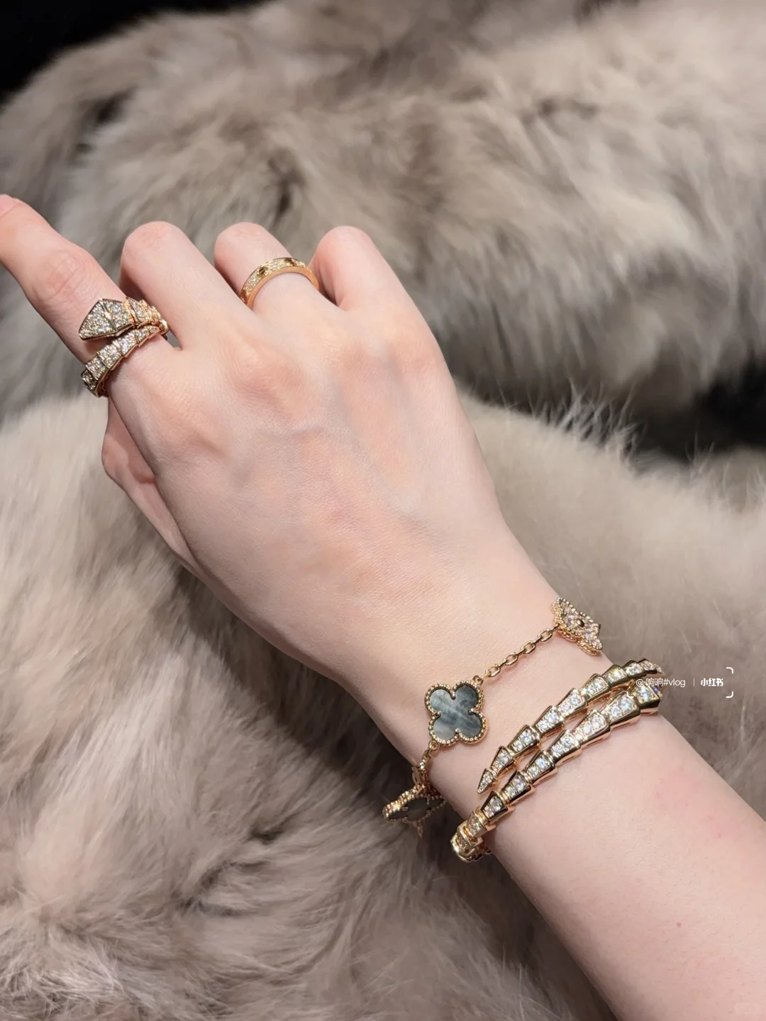 秋冬的体面，我想穿上我的貂