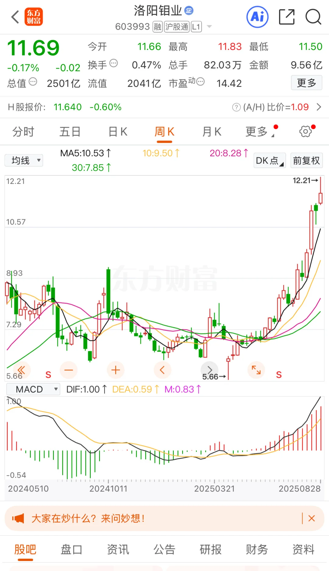 对洛阳钼业的看法