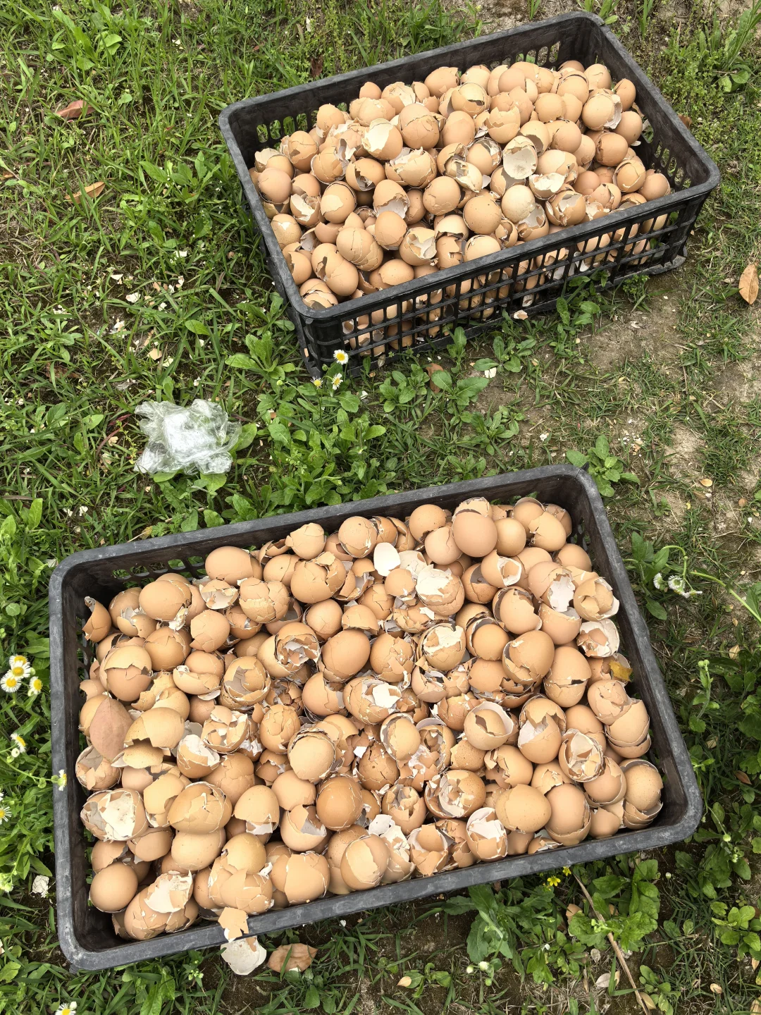 这东西竟然可以换钱？