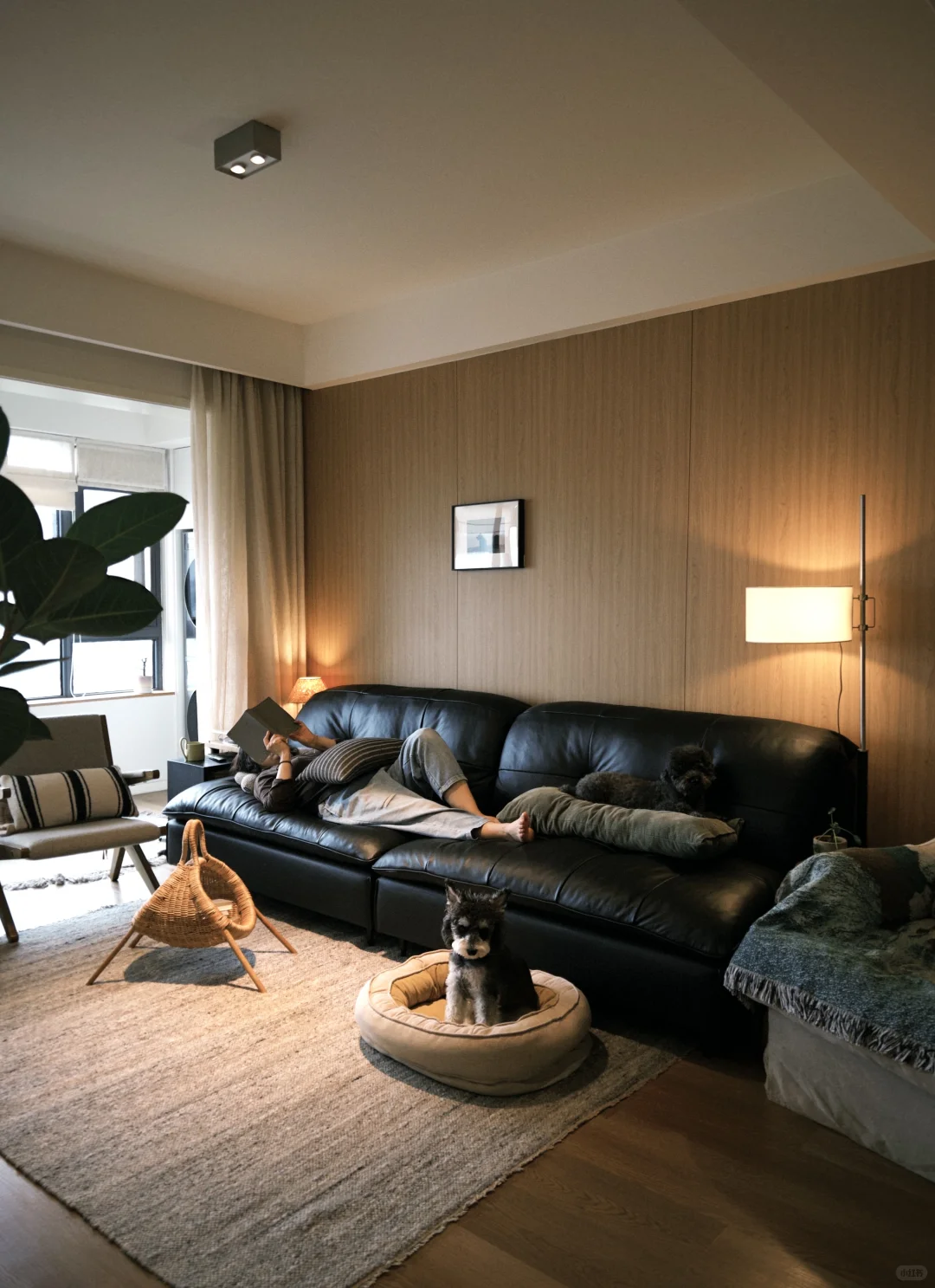 75平小家,这样布置很舒服