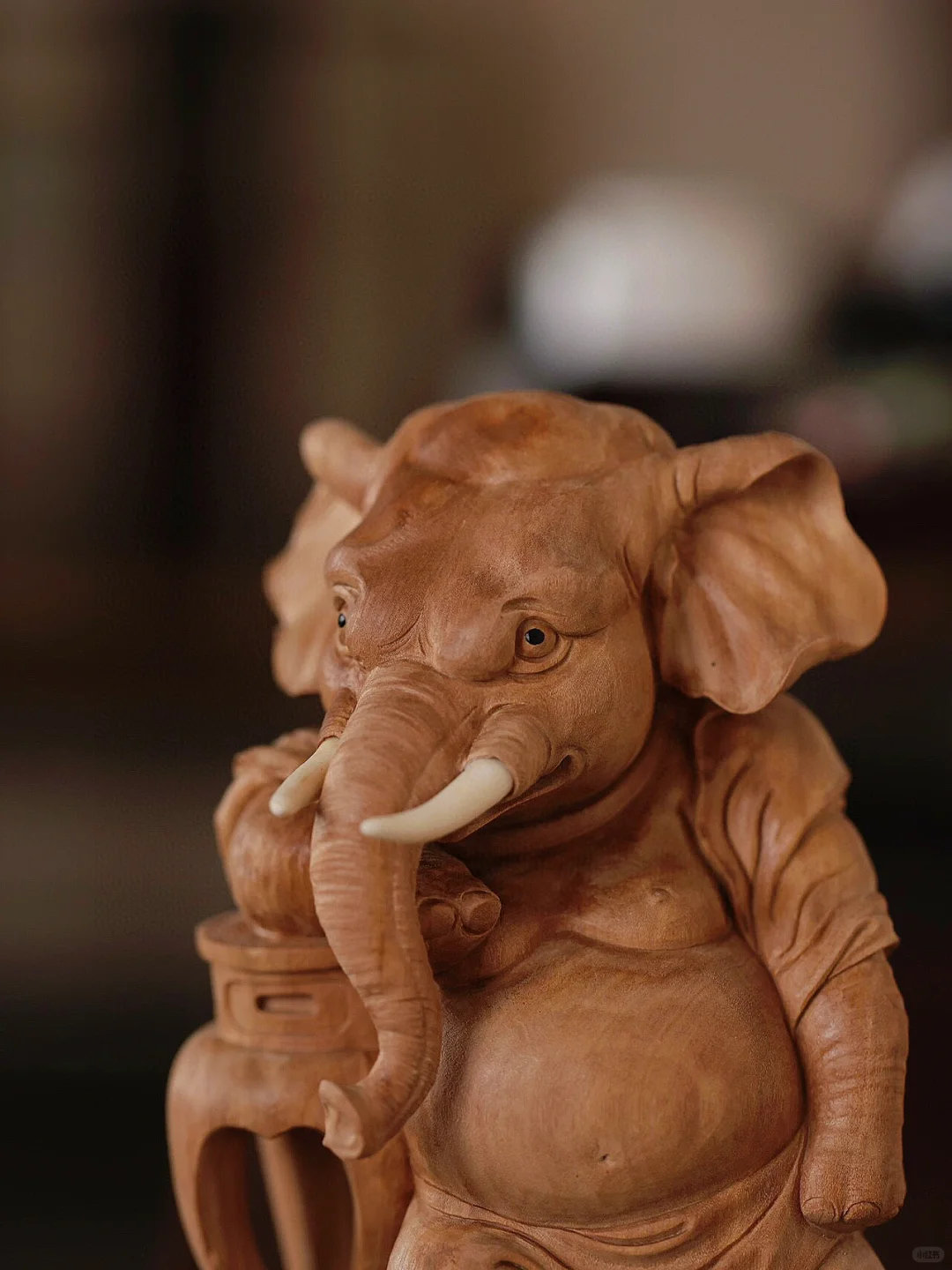 谁能拒绝酷酷的小象呢