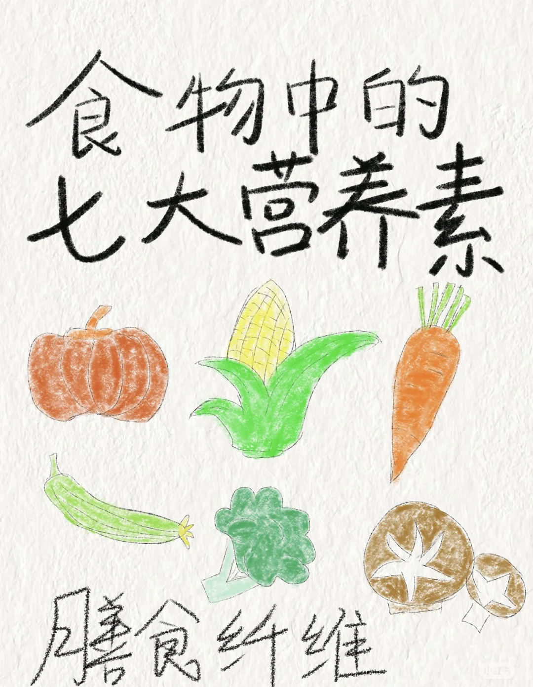 食物中的营养素之膳食纤维