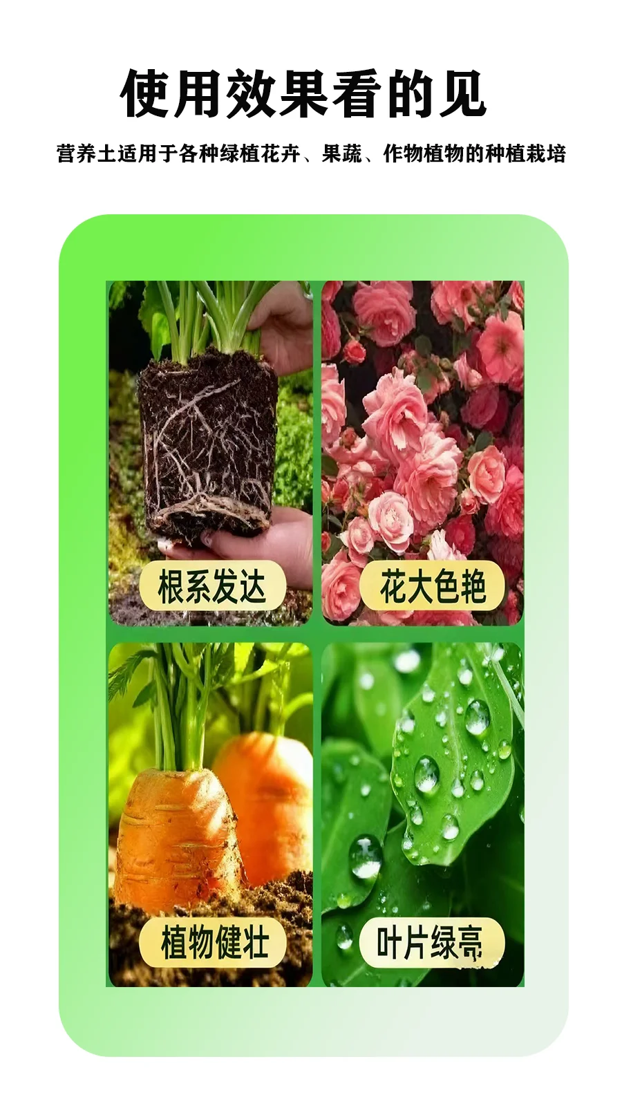 中科田参加土壤修复菌剂——为土壤“焕活新生