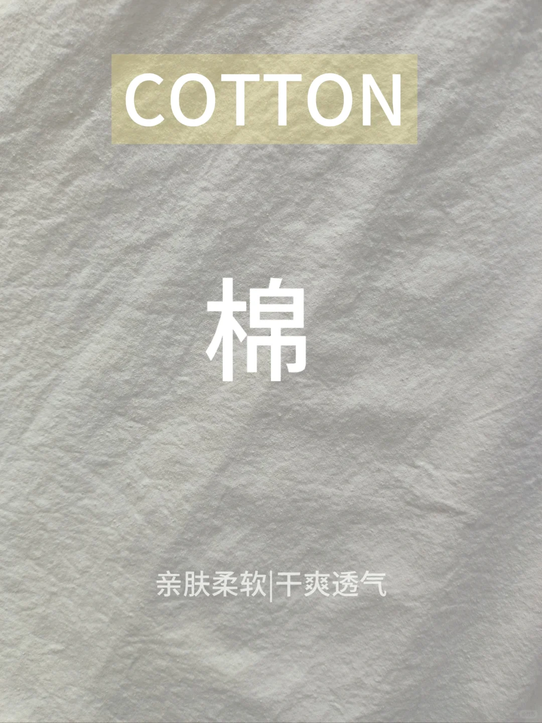 小白每天认识一种面料“棉”