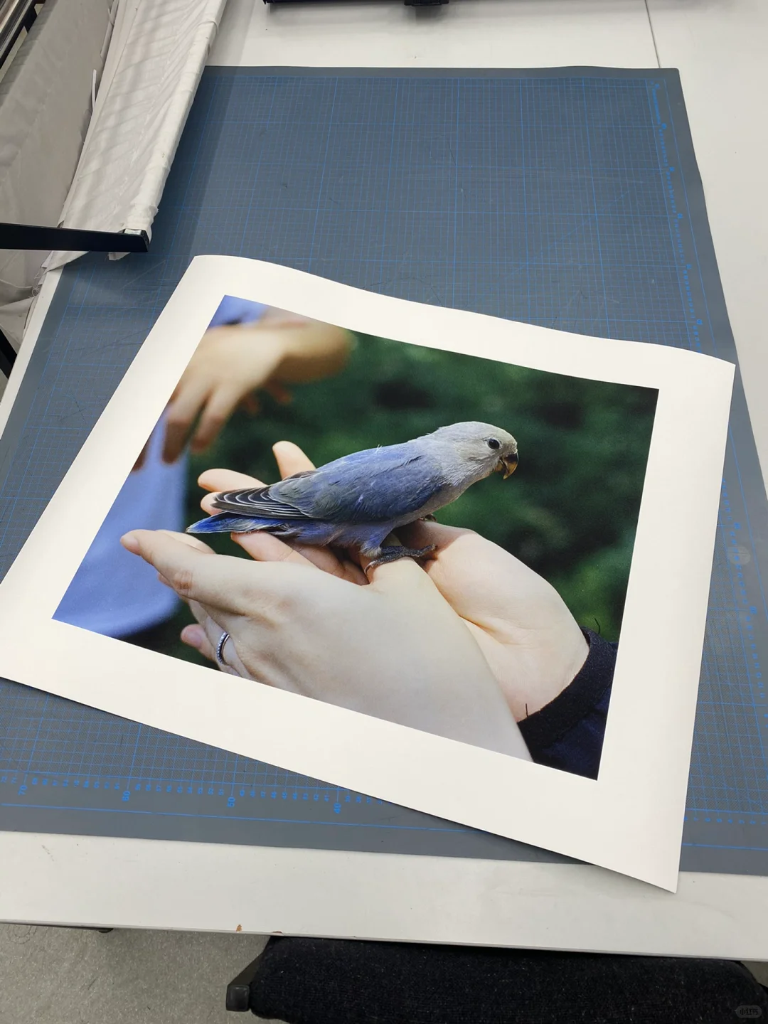 学校的喷墨印刷yyds