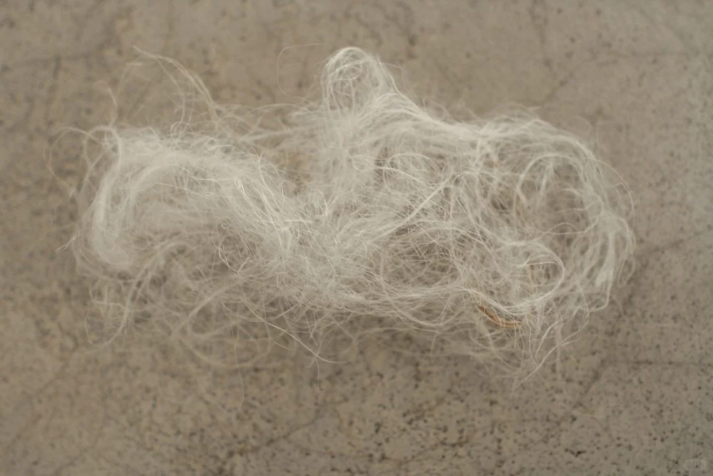 可持续丨来自蕉田的再生纤维