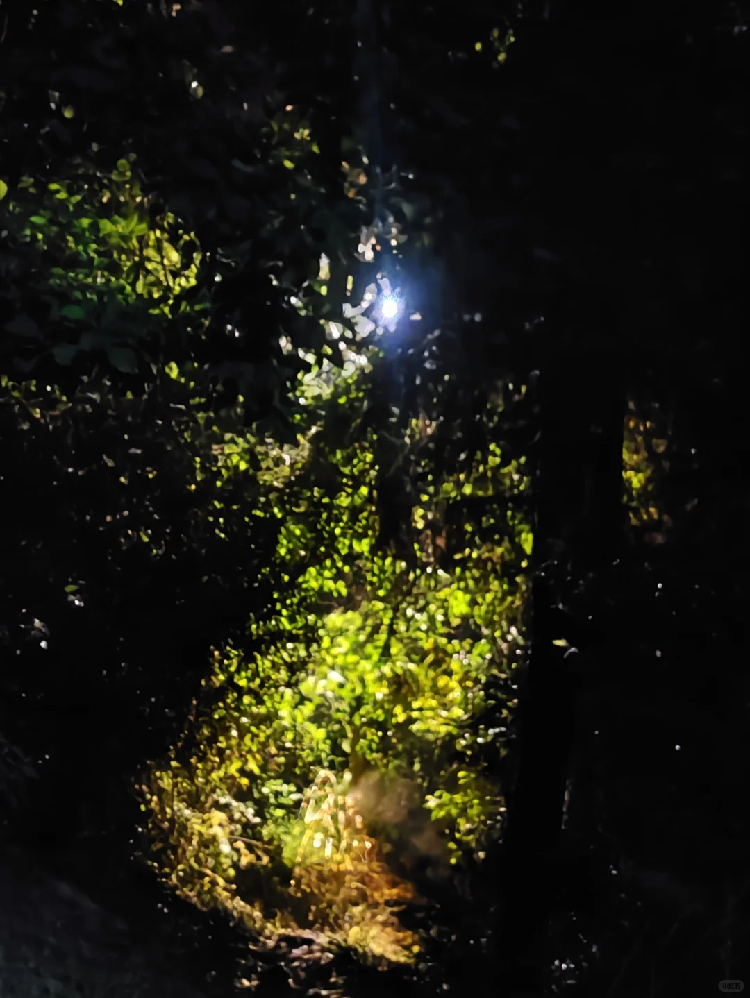 想知道电网的人是如何找到故障点的