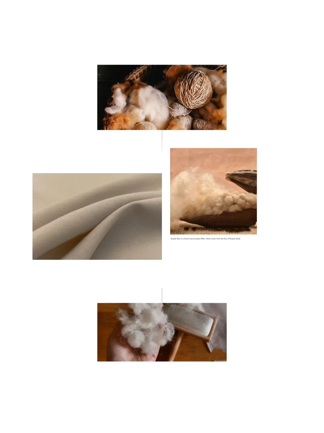 再生小课堂|长在树上的羊绒·木棉纤维