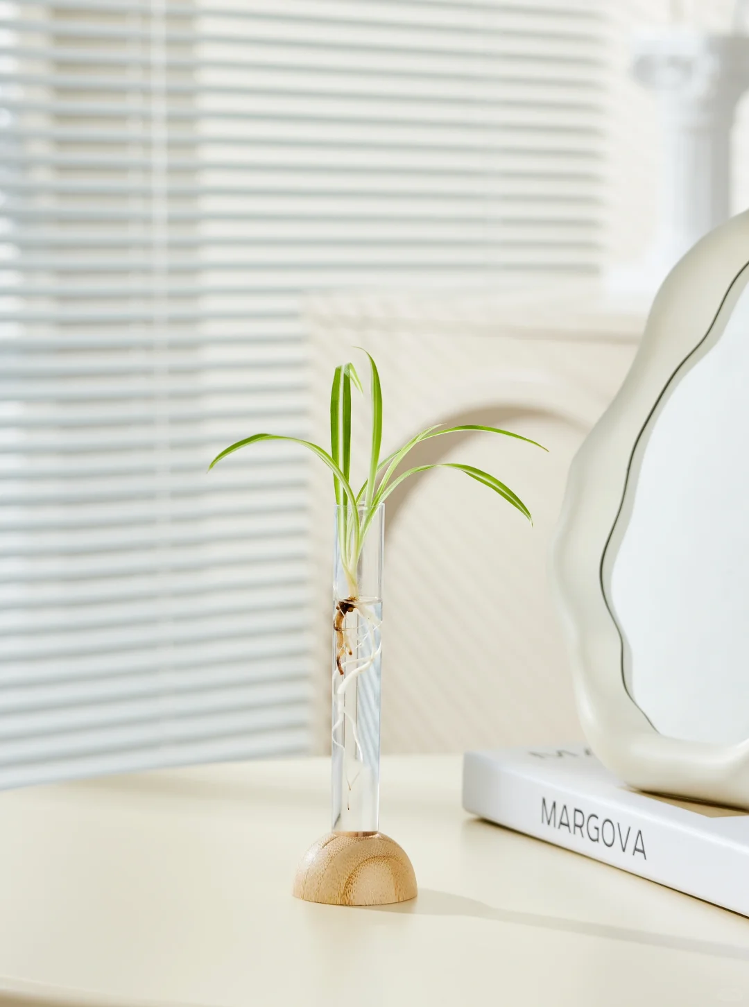 手痒难耐渴望拍照｜第一弹水培花瓶