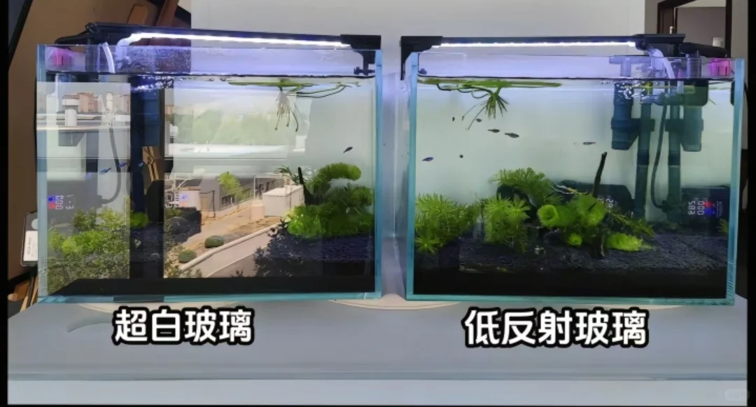 低反射玻璃VS超白玻璃