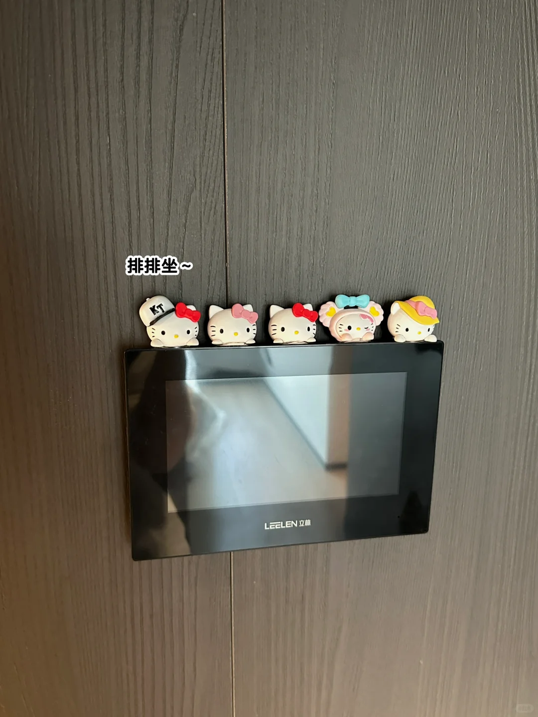 ?新家的一百个快递