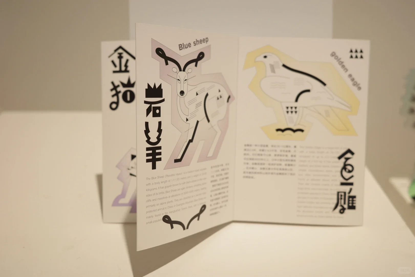 川美毕设展出-自然之息