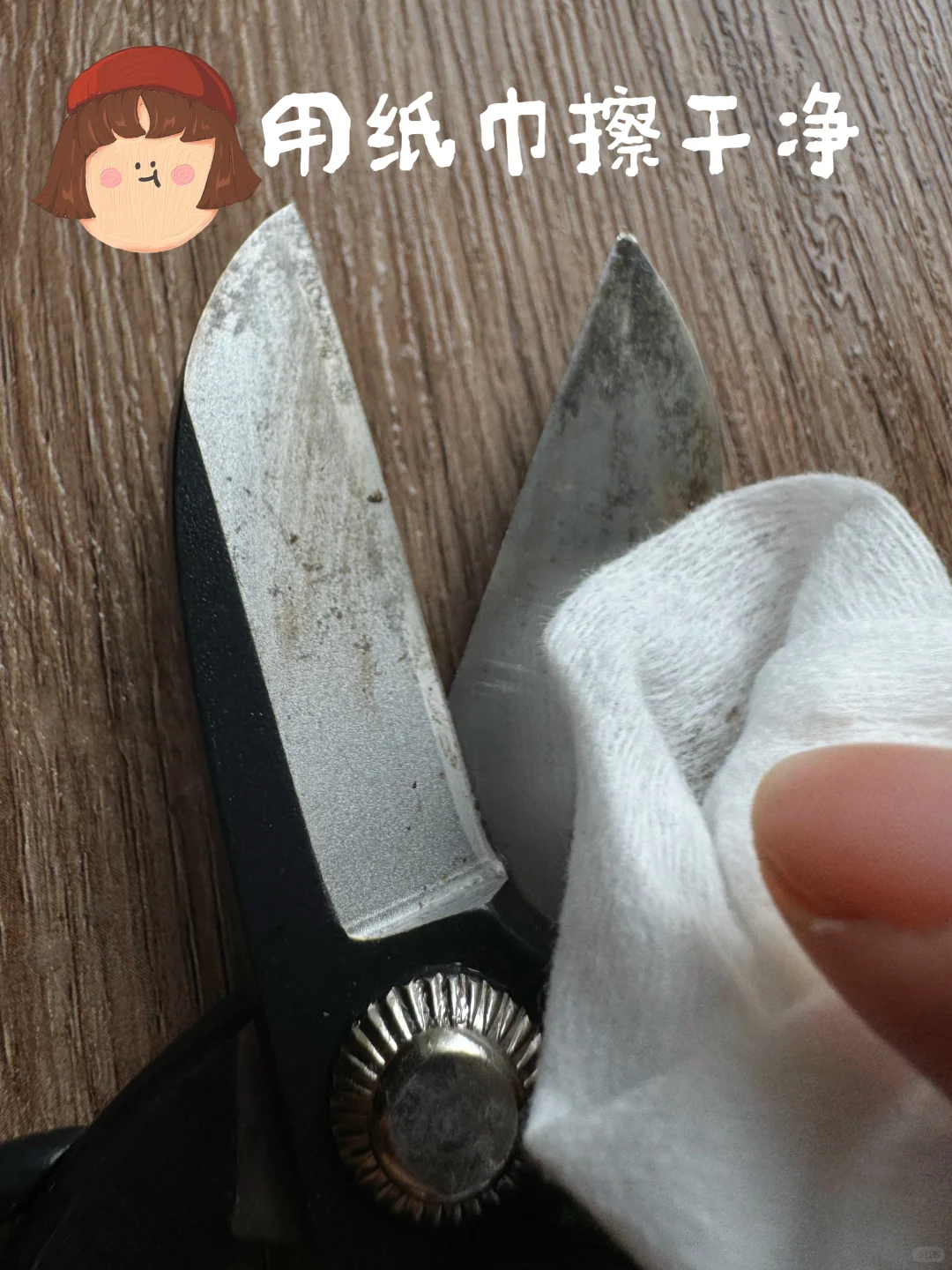 插花必备!拯救你的黑剪刀!