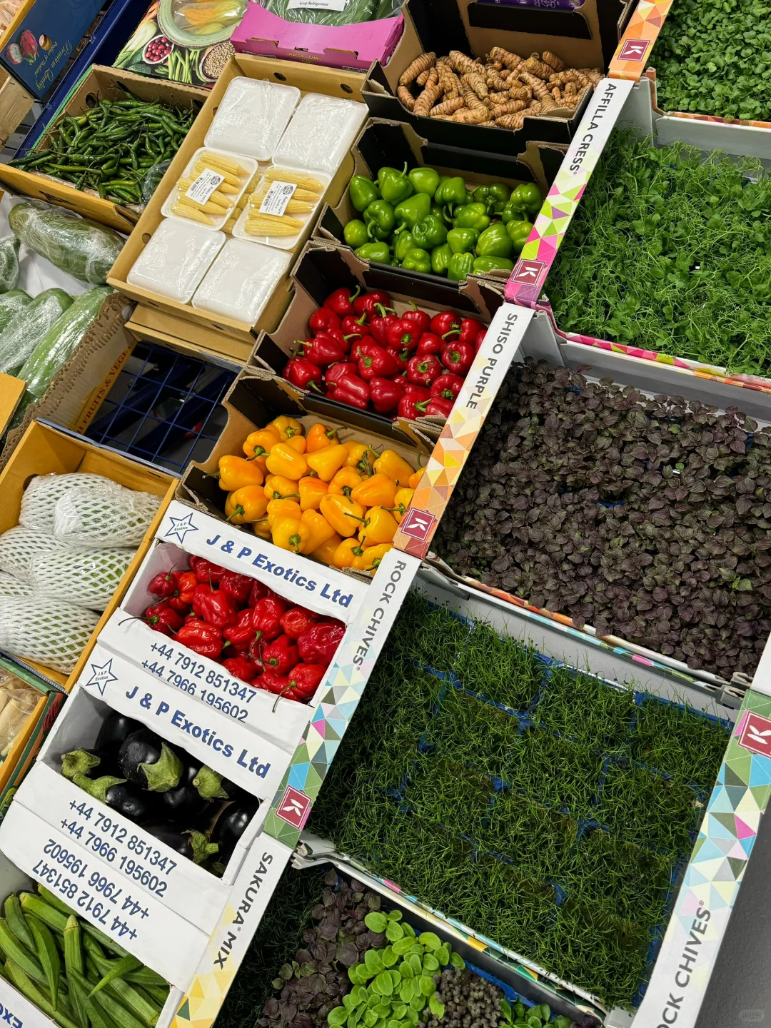 ??｜是谁凌晨三点在逛水果市场