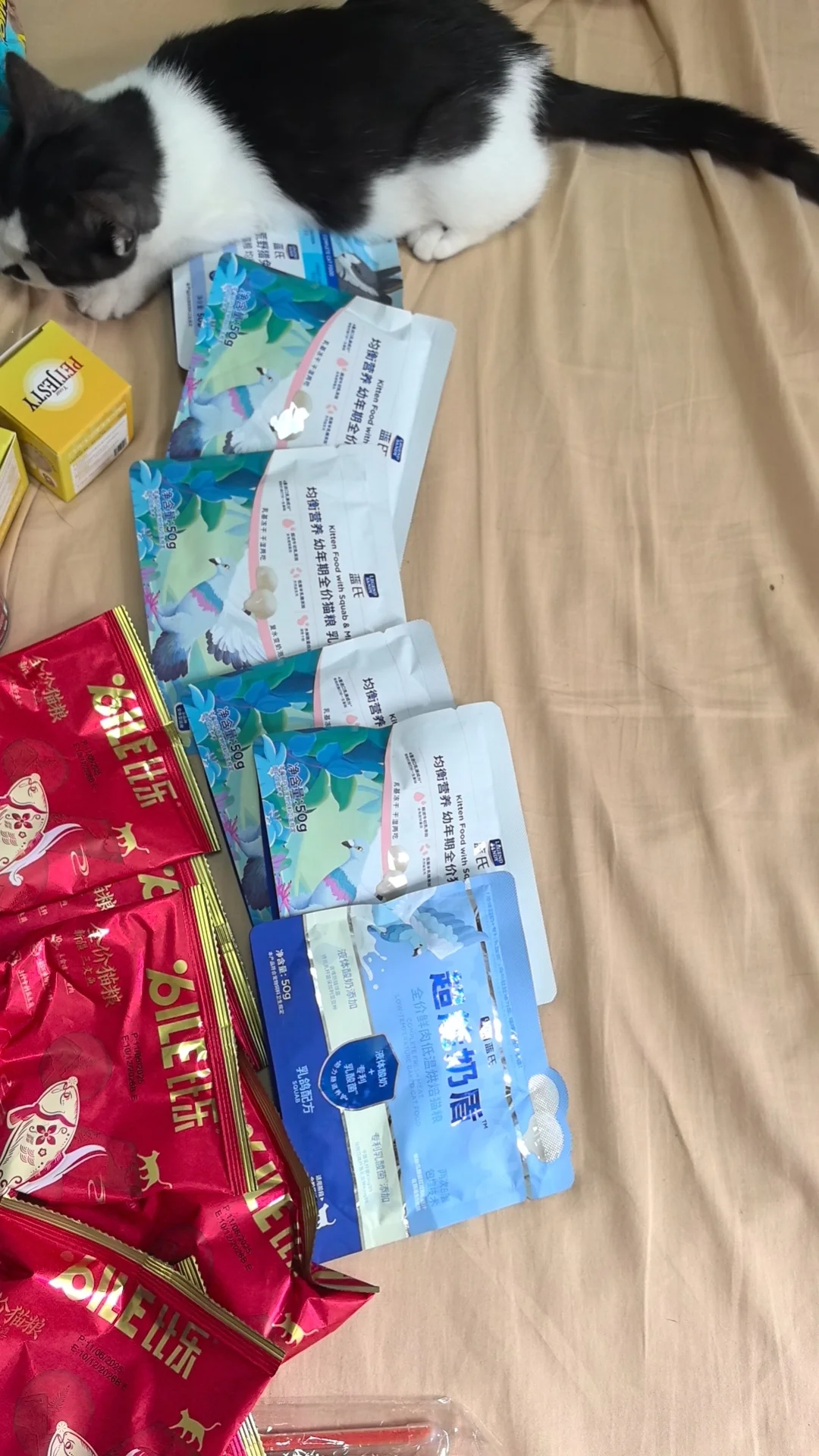 分享一下,参加了两场杭州的宠物博览会体验