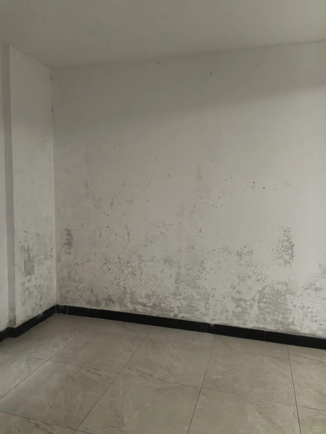 地下室潮湿有什么好方法