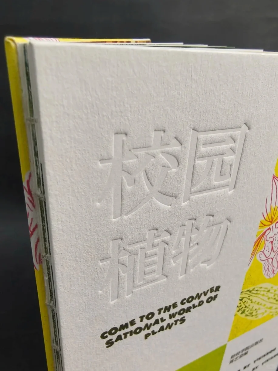 书籍装?封面压凹工艺?同人本印刷