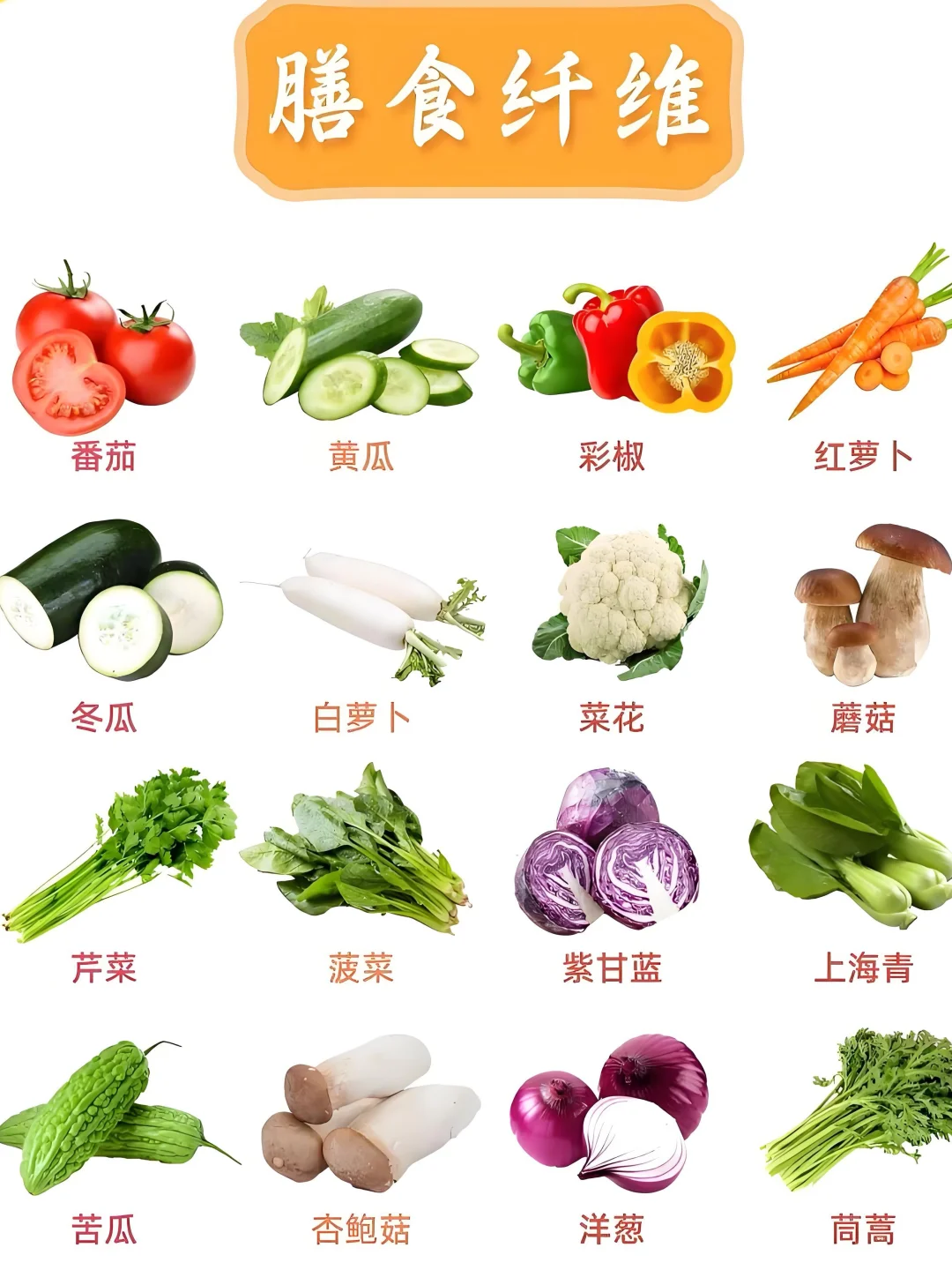 健身小白必看！碳水、膳食纤维、蛋白质的奥秘✨