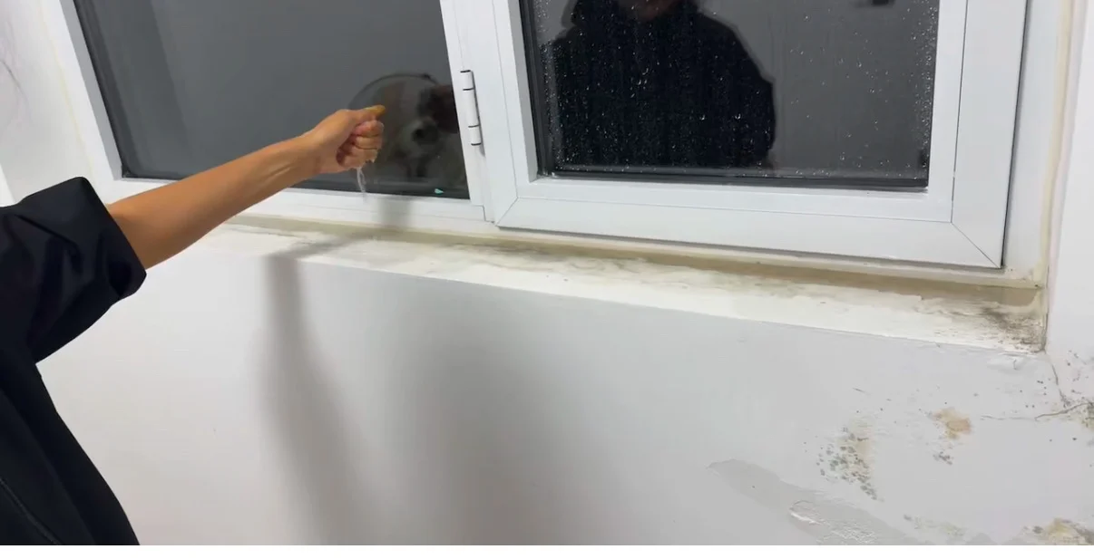 断桥铝窗户渗水，求解！