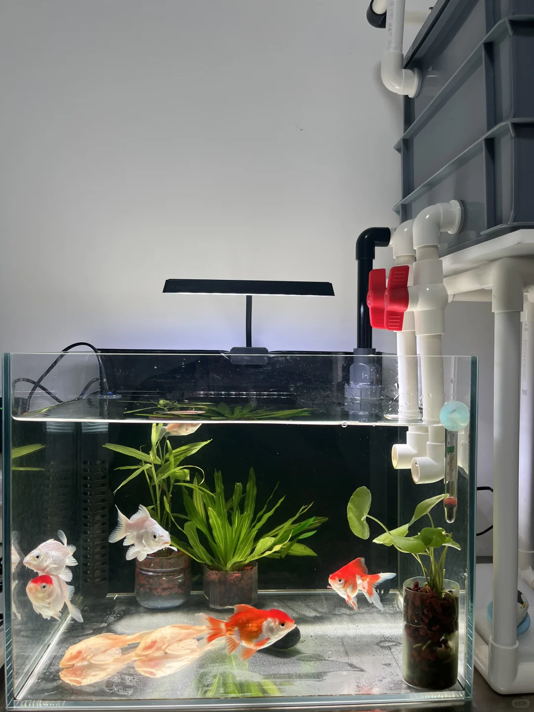 记录外置水泵最终模样