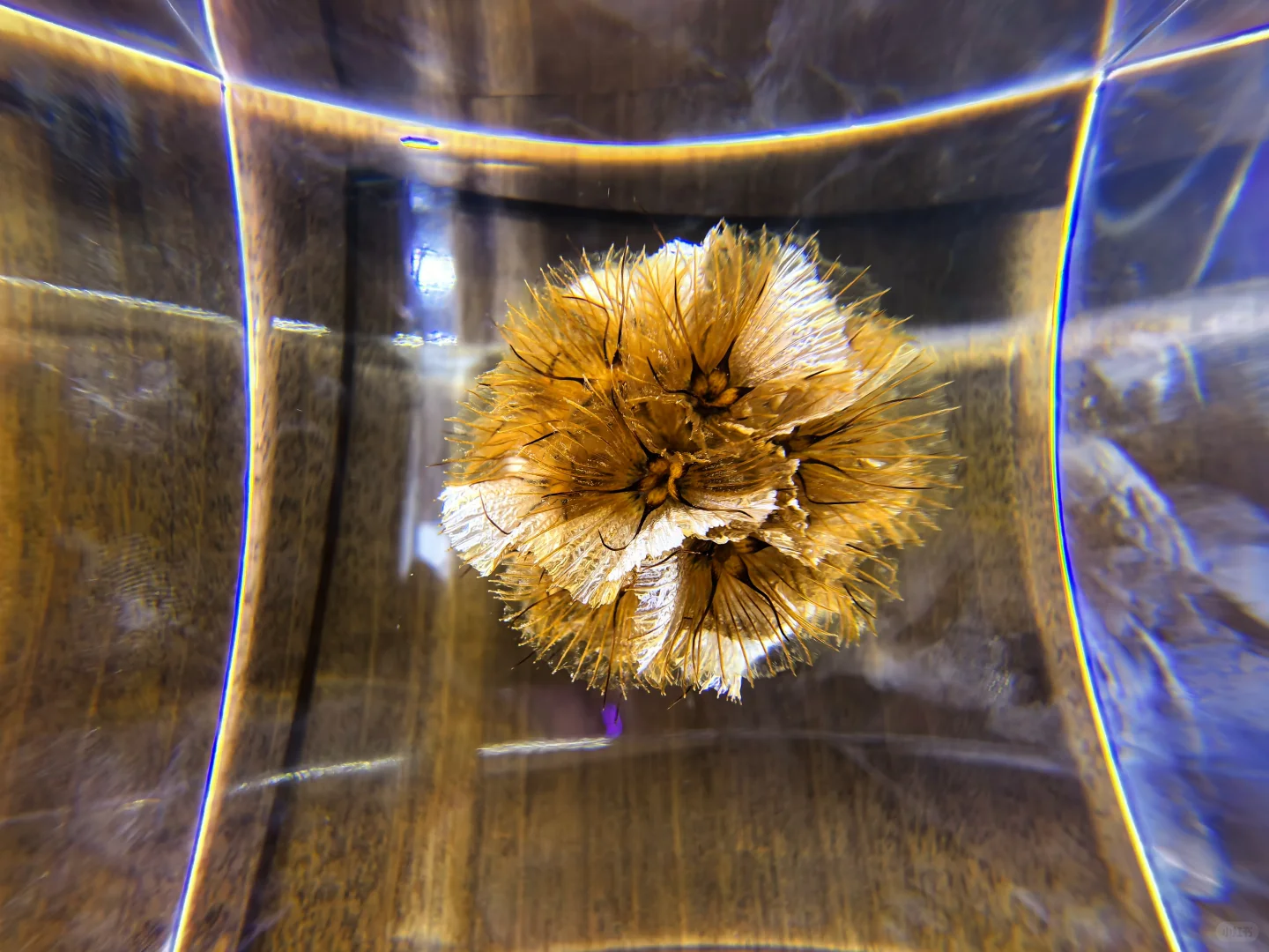 CMF树脂工艺01篇:从液态到固态的工艺魔法