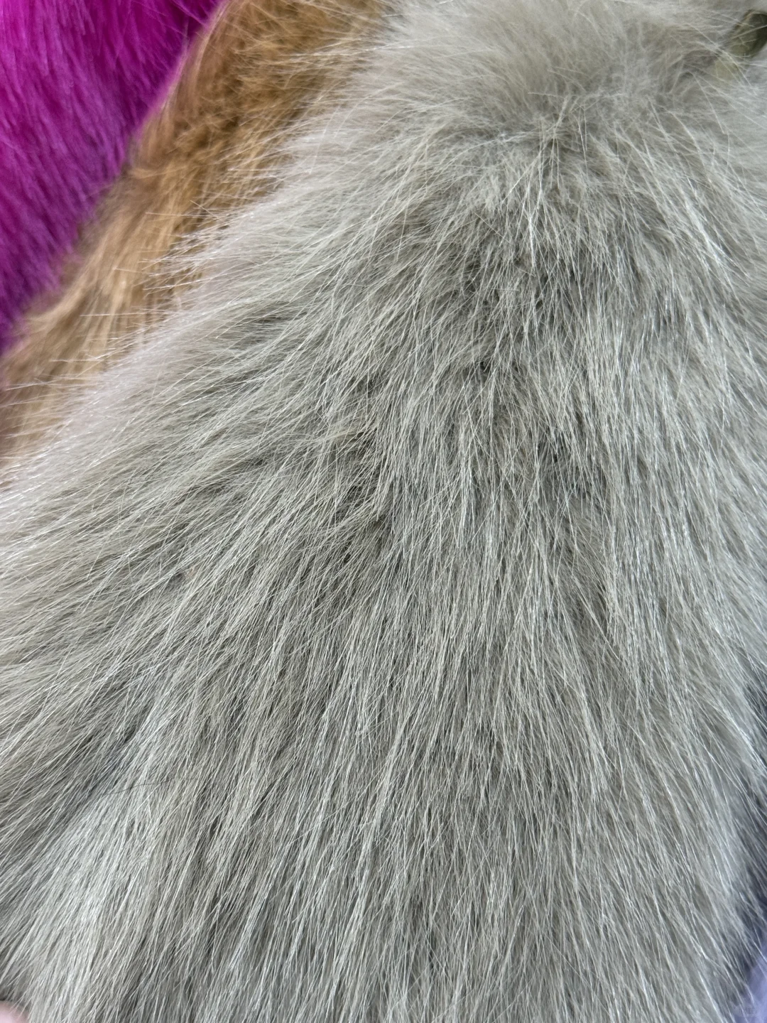 2100克新品狐狸毛 高端皮草面料