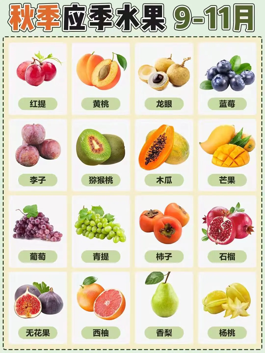 果断收藏｜一年四季应季水果时间表