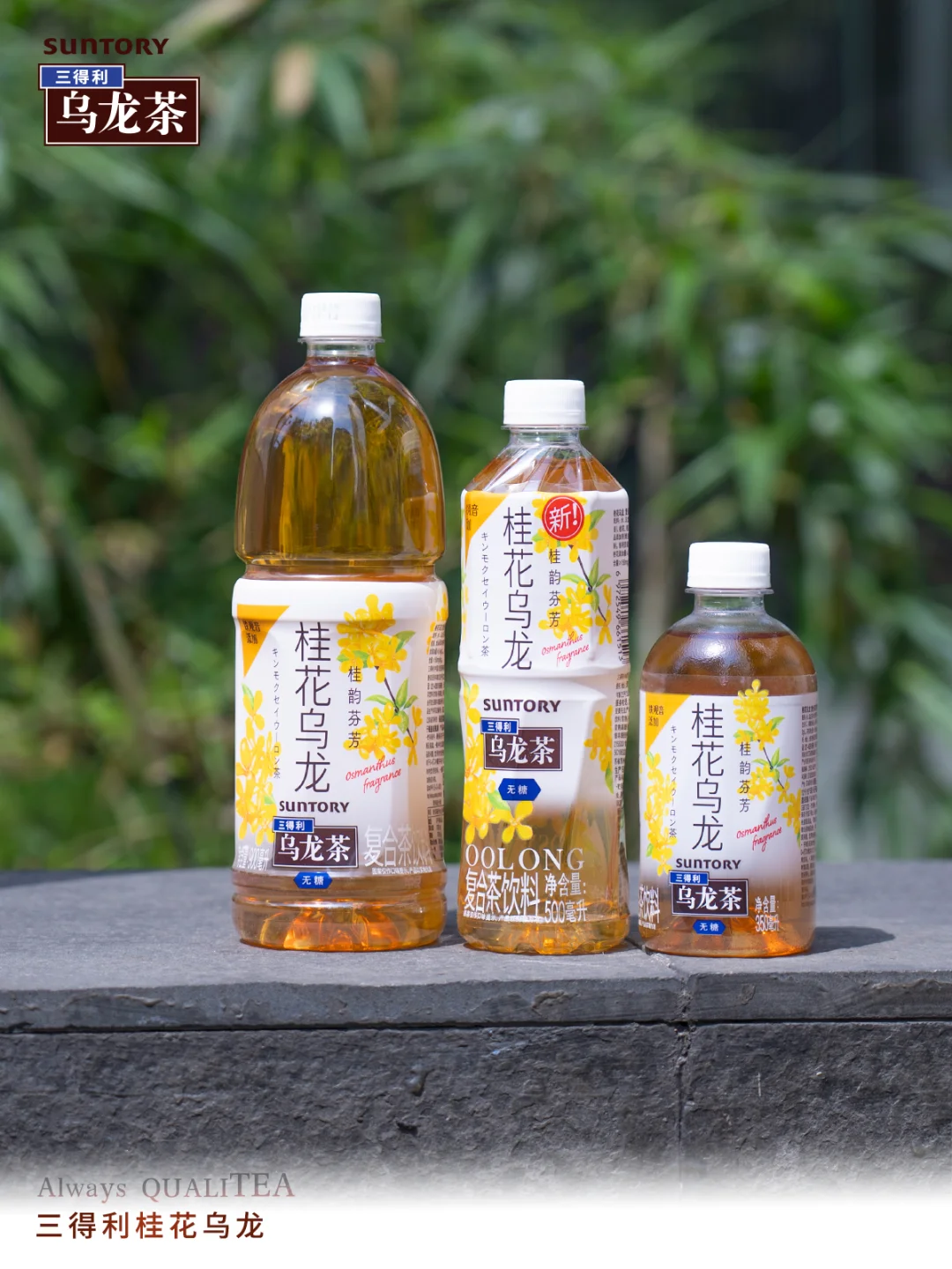 三得利乌龙茶家族｜执此品质 心意好茶