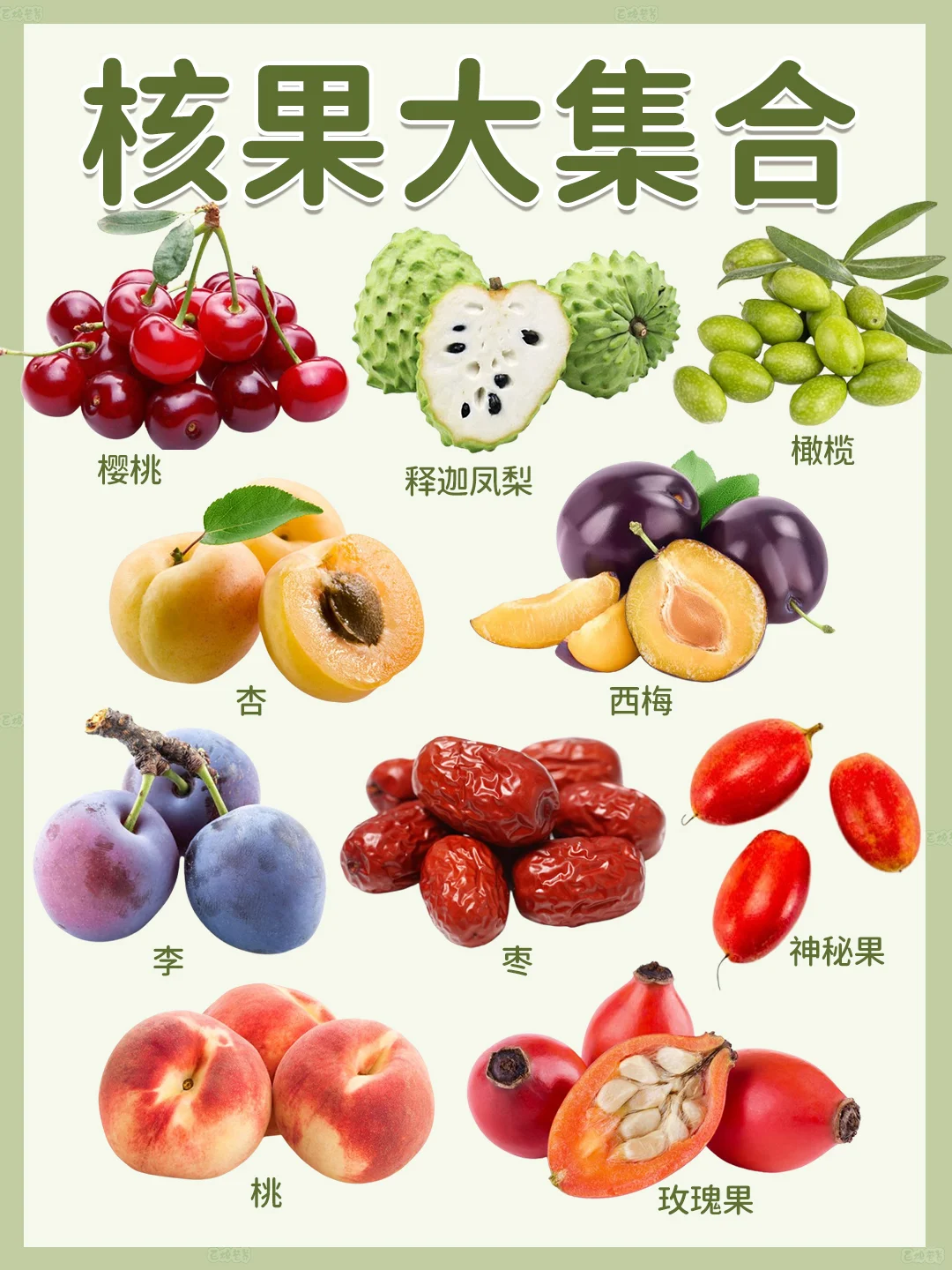 核果家族大揭秘!这些宝藏水果你都尝过吗?