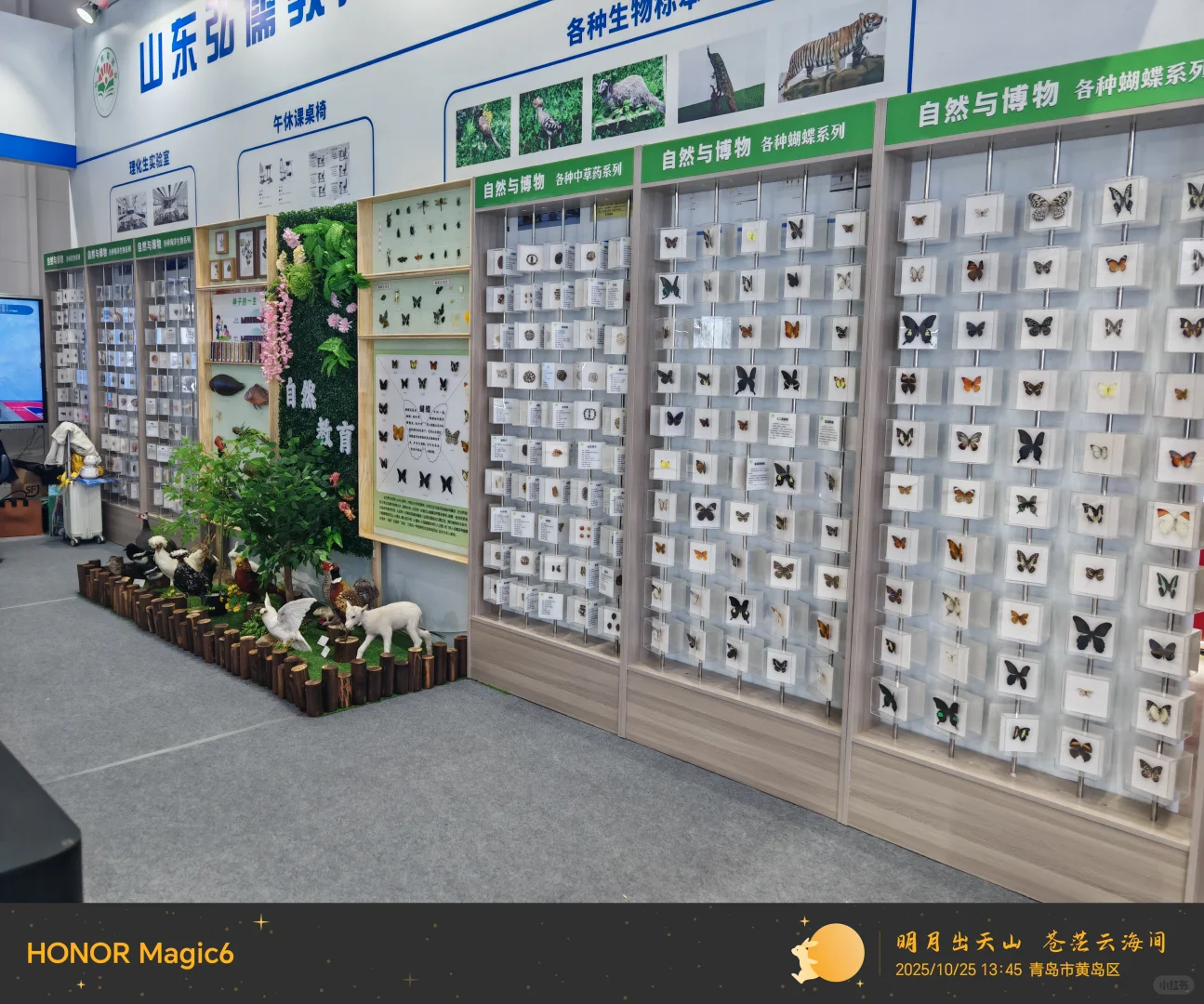 人工智能引领教育装备高质量发展