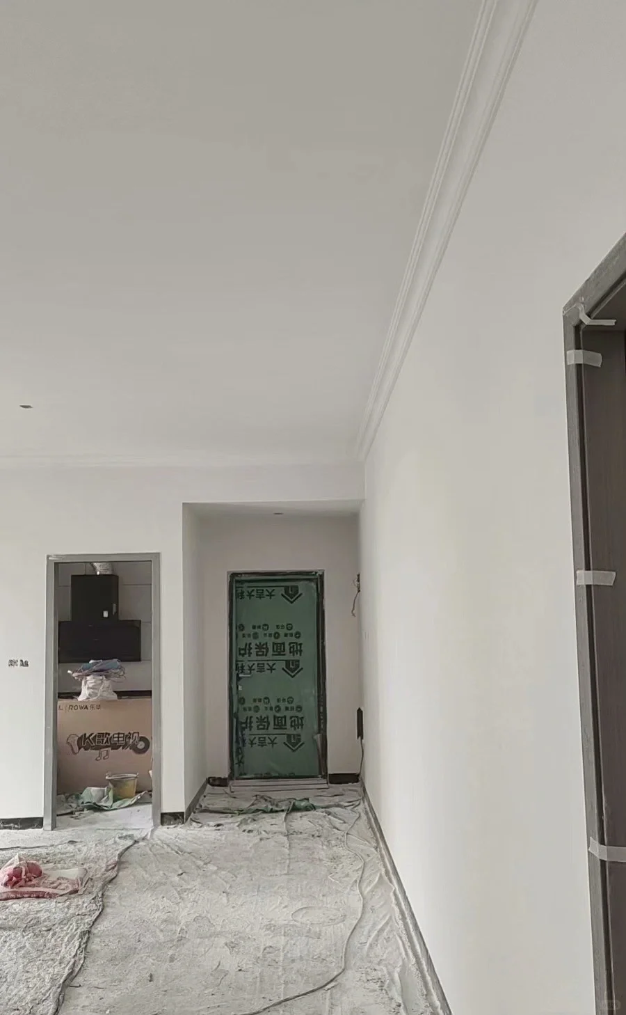 墙体发霉的危害与处置