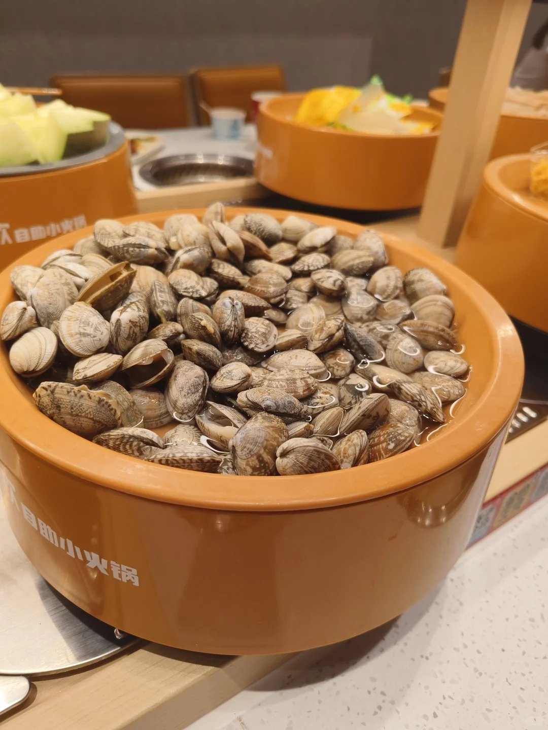 打卡邯郸天鸿龍哥小火锅，浅浅来个真实测评