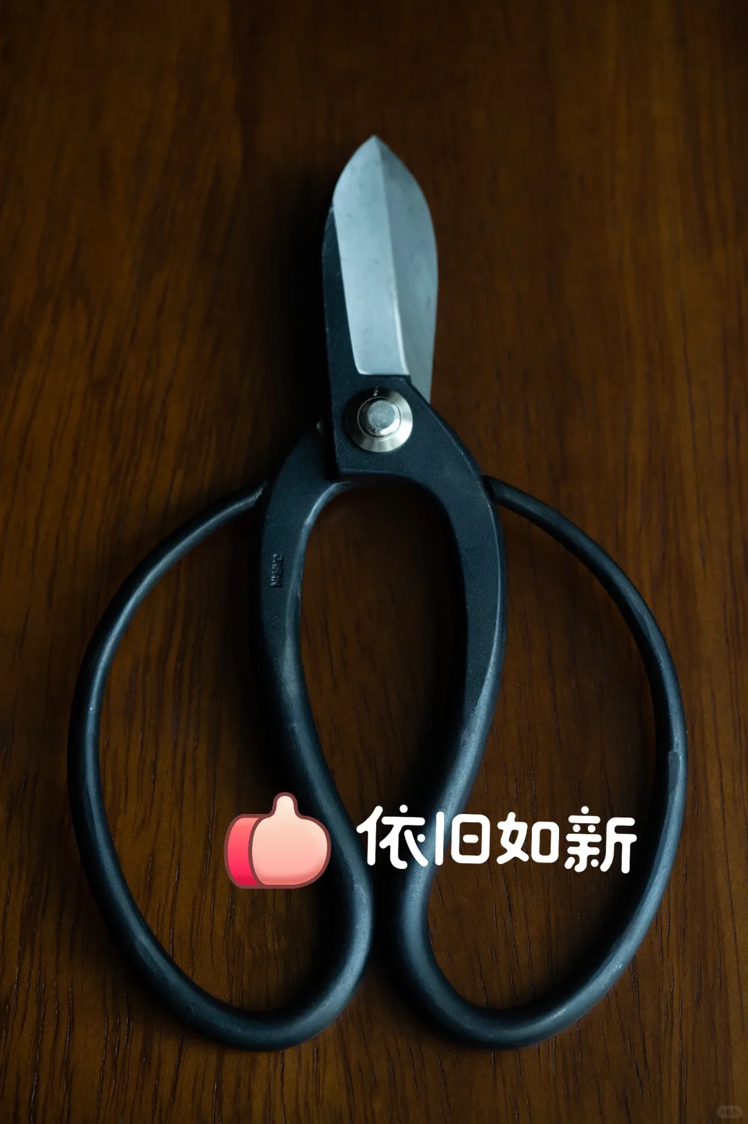 插花必备!拯救你的黑剪刀!