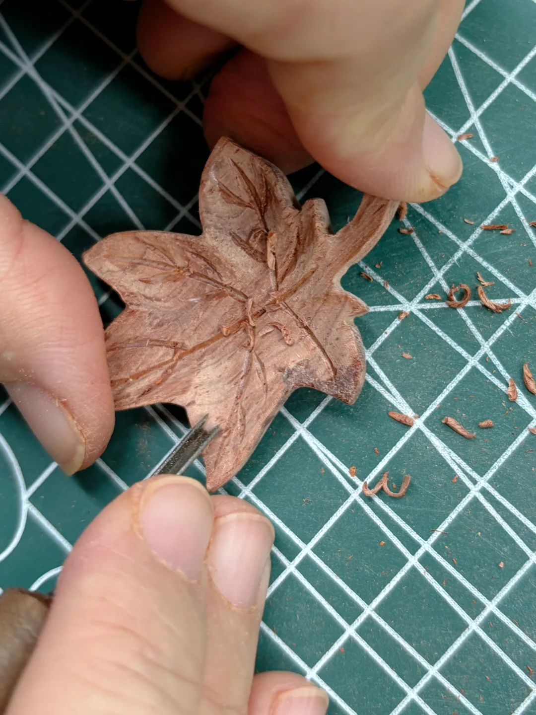 今年的枫叶好像不够红，那就赏你一丈红吧！