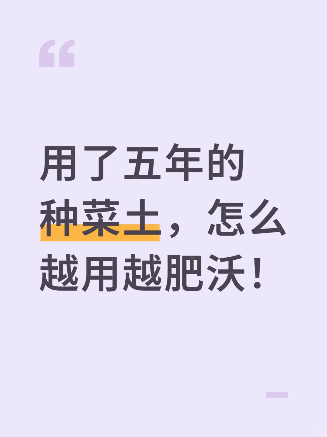 用了五年的种菜土,怎么越用越肥沃!