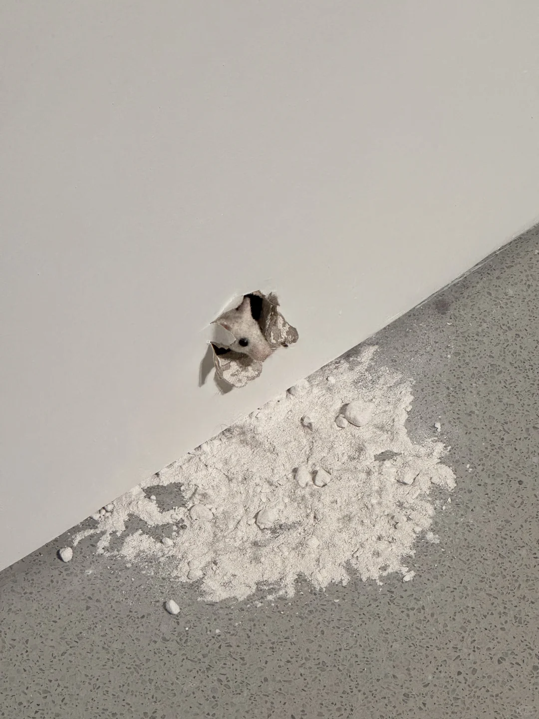 莫名其妙喜欢的展| Minimal