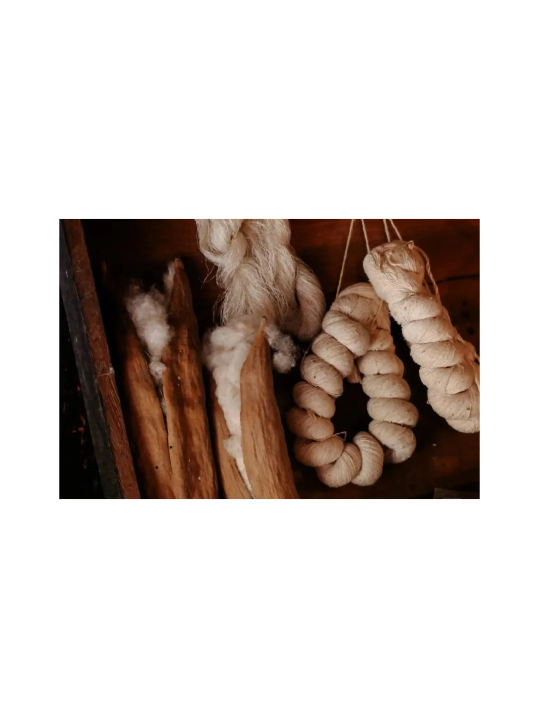 再生小课堂|长在树上的羊绒·木棉纤维